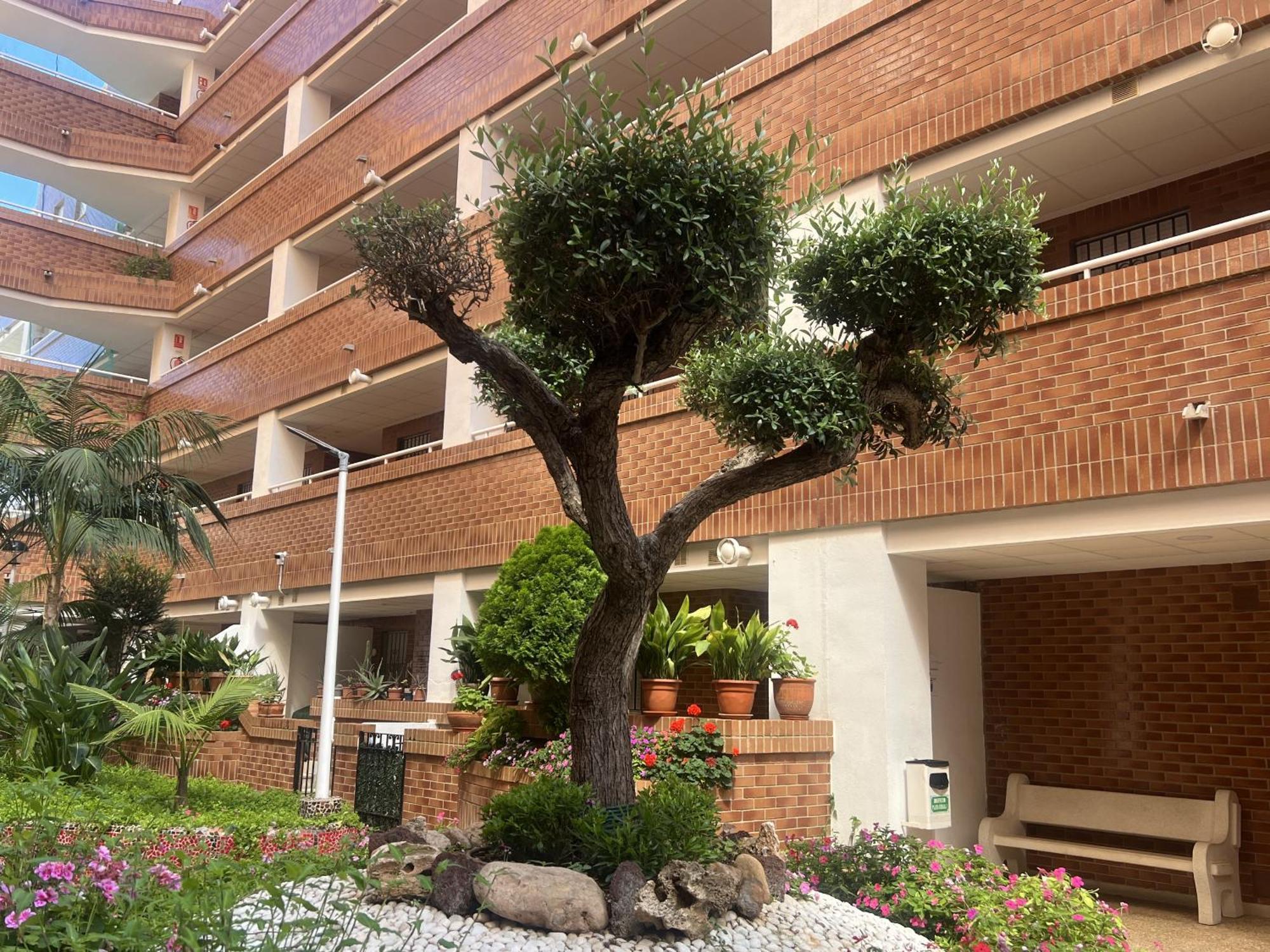 Apartamentos Marina Park Oropesa del Mar Exterior foto